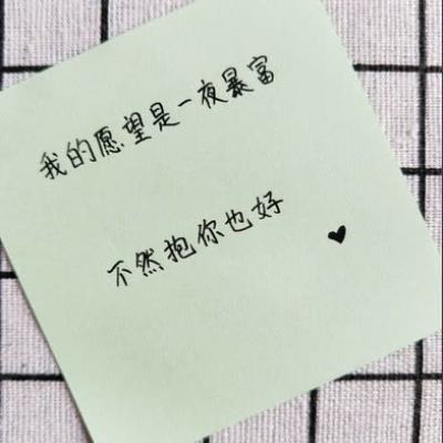 柯南业火的向日葵破解版下载